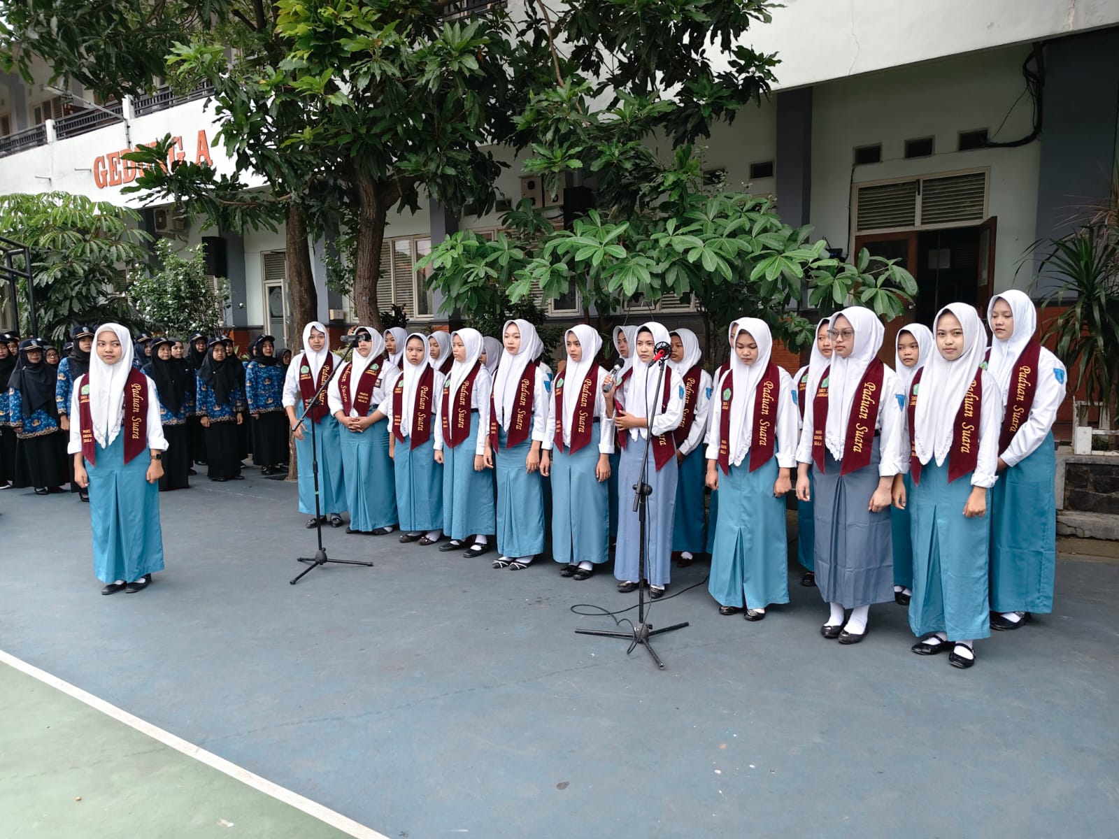 pah2