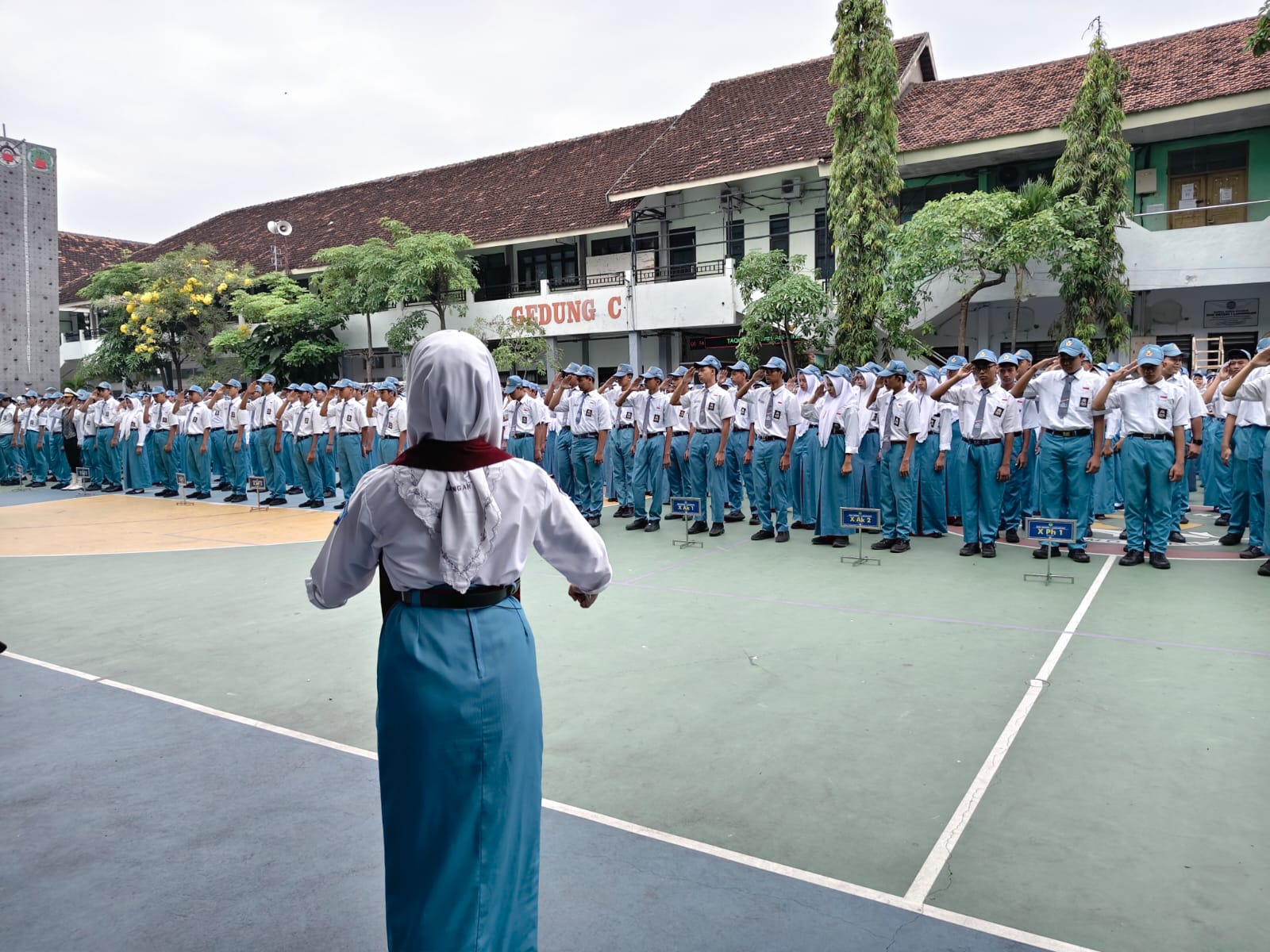 pah4